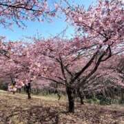 ヒメ日記 2026/03/31 15:45 投稿 そあ YESグループ TSUBAKI FIRST