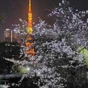 ヒメ日記 2026/04/10 18:03 投稿 そあ YESグループ TSUBAKI FIRST