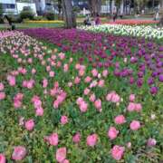 ヒメ日記 2026/04/23 18:19 投稿 そあ YESグループ TSUBAKI FIRST