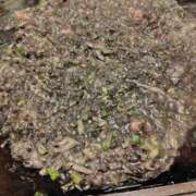 ヒメ日記 2026/06/05 14:41 投稿 そあ YESグループ TSUBAKI FIRST