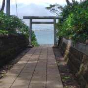 ヒメ日記 2026/08/24 21:03 投稿 そあ YESグループ TSUBAKI FIRST