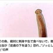 ヒメ日記 2026/09/10 00:10 投稿 そあ YESグループ TSUBAKI FIRST