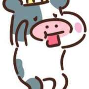 ヒメ日記 2025/06/19 14:48 投稿 りえ 熟女＆人妻＆ぽっちゃり倶楽部