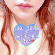 ヒメ日記 2025/02/16 14:00 投稿 みさと Royal Silky（ロイヤルシルキー）