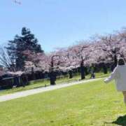 ヒメ日記 2025/04/13 16:03 投稿 りり シークレットサービス