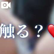 ヒメ日記 2026/08/20 07:43 投稿 りり シークレットサービス