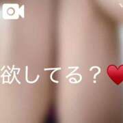 ヒメ日記 2026/09/13 08:33 投稿 りり シークレットサービス