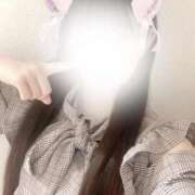 ひなの 出勤！出勤！ サマンサ(和歌山)