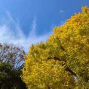 ヒメ日記 2024/12/22 08:50 投稿 みさき 完熟ばなな川崎