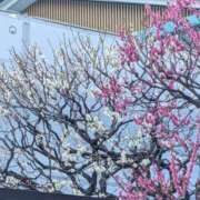 ヒメ日記 2025/02/19 20:48 投稿 みさき 完熟ばなな川崎