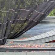 みさき こんばんは(*^^*) 完熟ばなな川崎