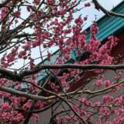 ヒメ日記 2025/02/12 18:49 投稿 みさき 完熟ばなな 横浜