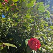 ヒメ日記 2025/02/21 22:14 投稿 みさき 完熟ばなな 横浜