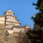 ヒメ日記 2025/03/08 20:47 投稿 みさき 完熟ばなな 横浜