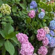 ヒメ日記 2025/06/12 21:41 投稿 みさき 完熟ばなな 横浜