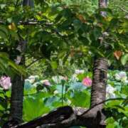 ヒメ日記 2025/07/27 00:18 投稿 みさき 完熟ばなな 横浜