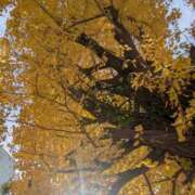 ヒメ日記 2025/12/15 01:31 投稿 みさき 完熟ばなな 横浜