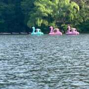 ヒメ日記 2025/11/01 18:34 投稿 ひかり 丸妻 町田店