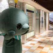 ヒメ日記 2025/01/25 23:02 投稿 しいな 池袋風俗　池袋いきなりビンビン伝説