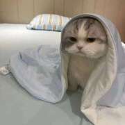 ヒメ日記 2025/02/01 22:15 投稿 しいな 池袋風俗　池袋いきなりビンビン伝説