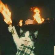 ヒメ日記 2025/02/23 09:27 投稿 しいな 池袋風俗　池袋いきなりビンビン伝説