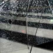 ヒメ日記 2025/03/09 01:01 投稿 しいな 池袋風俗　池袋いきなりビンビン伝説