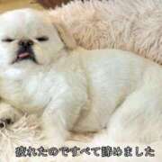 ヒメ日記 2025/12/26 22:19 投稿 しいな 池袋風俗　池袋いきなりビンビン伝説