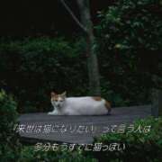 ヒメ日記 2025/12/29 21:37 投稿 しいな 池袋風俗　池袋いきなりビンビン伝説