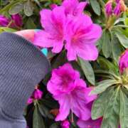 ヒメ日記 2026/04/17 22:03 投稿 しいな 池袋風俗　池袋いきなりビンビン伝説