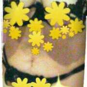 ヒメ日記 2025/09/27 05:22 投稿 みゆき 熟女ばかり