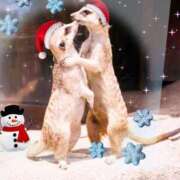 ヒメ日記 2024/12/24 21:24 投稿 ももか 美熟女倶楽部Hip's 春日部店