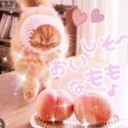 ヒメ日記 2025/01/15 17:54 投稿 ももか 美熟女倶楽部Hip's 春日部店