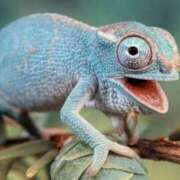 ヒメ日記 2025/04/08 13:14 投稿 ももか 美熟女倶楽部Hip's 春日部店