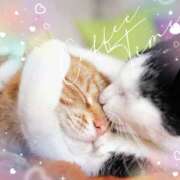 ヒメ日記 2025/05/20 08:35 投稿 ももか 美熟女倶楽部Hip's 春日部店