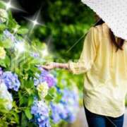 ヒメ日記 2025/06/14 22:04 投稿 ももか 美熟女倶楽部Hip's 春日部店