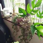 ヒメ日記 2025/06/22 11:44 投稿 ももか 美熟女倶楽部Hip's 春日部店