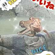 ヒメ日記 2025/07/21 12:27 投稿 ももか 美熟女倶楽部Hip's 春日部店