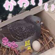 ヒメ日記 2025/08/04 11:08 投稿 ももか 美熟女倶楽部Hip's 春日部店