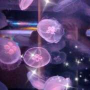 ヒメ日記 2025/08/21 10:34 投稿 ももか 美熟女倶楽部Hip's 春日部店