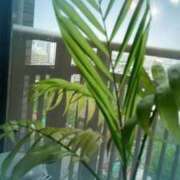 ヒメ日記 2026/02/10 08:48 投稿 ももか 美熟女倶楽部Hip's 春日部店