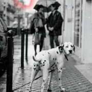 ヒメ日記 2026/03/20 15:22 投稿 ももか 美熟女倶楽部Hip's 春日部店