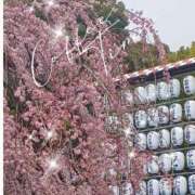 ヒメ日記 2026/03/20 22:42 投稿 ももか 美熟女倶楽部Hip's 春日部店