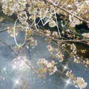 ヒメ日記 2026/03/31 08:22 投稿 ももか 美熟女倶楽部Hip's 春日部店