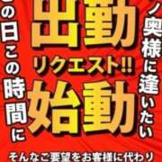 ヒメ日記 2023/10/17 15:30 投稿 ねこさん いけない奥さん 十三店