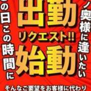 ヒメ日記 2024/04/16 13:38 投稿 ねこさん いけない奥さん 十三店