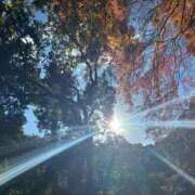 ヒメ日記 2024/12/15 16:48 投稿 ねこさん いけない奥さん 十三店