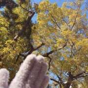 ヒメ日記 2024/12/19 15:38 投稿 ねこさん いけない奥さん 十三店