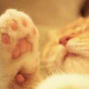 ヒメ日記 2024/12/19 20:48 投稿 ねこさん いけない奥さん 十三店