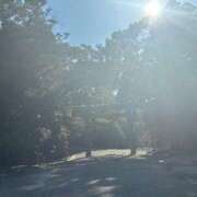 ヒメ日記 2025/01/16 22:33 投稿 ねこさん いけない奥さん 十三店