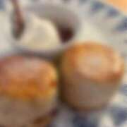 ヒメ日記 2025/01/23 13:22 投稿 ねこさん いけない奥さん 十三店